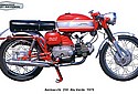 Aermacchi-1970-Ala-Verde-HD250.jpg