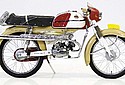 Batavus-1965-Whippet-48cc-JLO-1.jpg