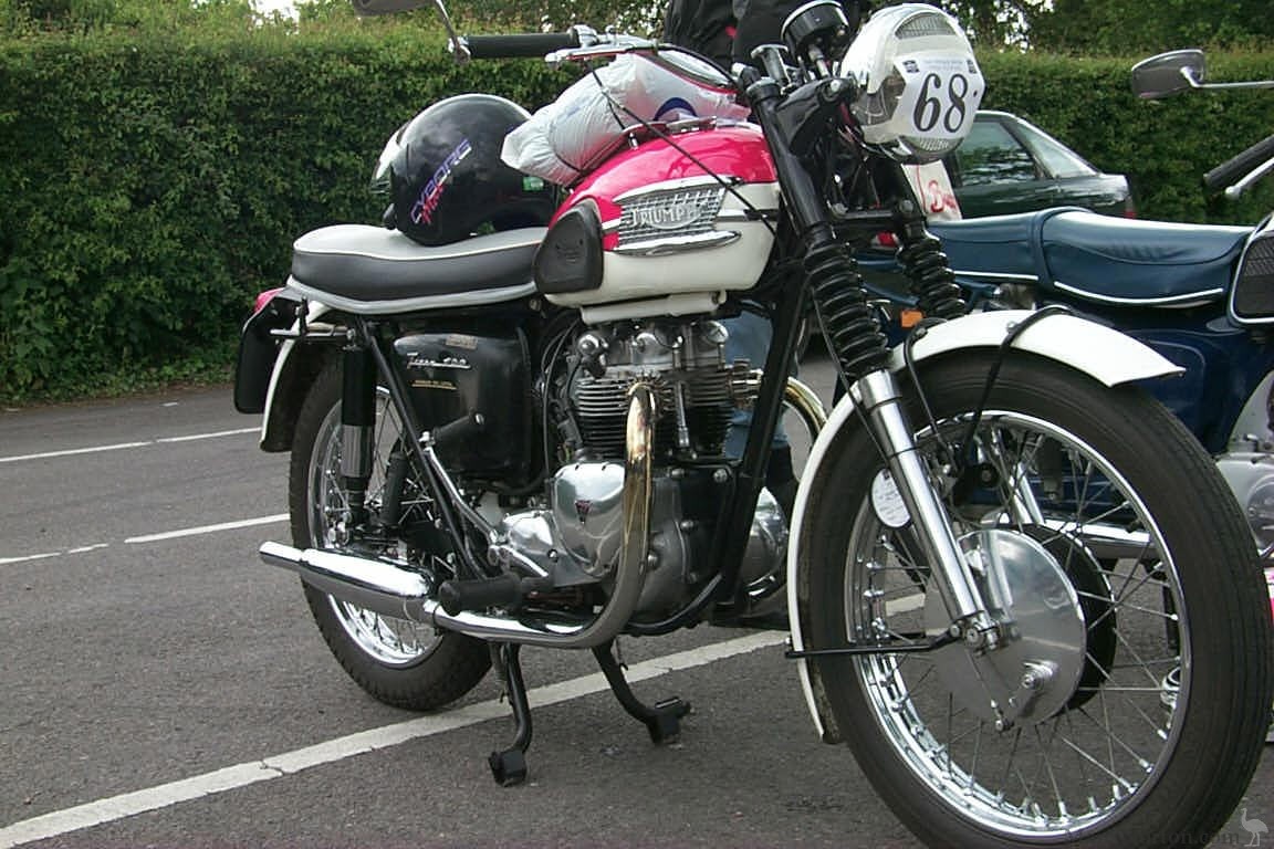 Triumph-Tiger-100-Bikesheds.jpg