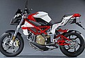 Bimota-DB6-Delirio-1100-2008-2.jpg