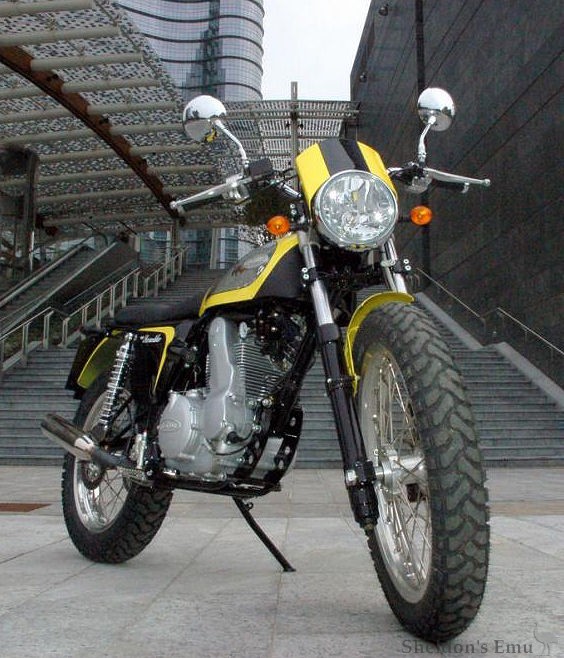 Borile-B450-Scrambler-02-Bit.jpg