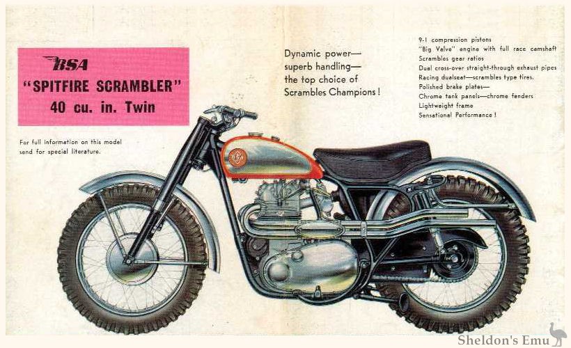 BSA-1959-650cc-Spitfire-Scrambler-Cat.jpg