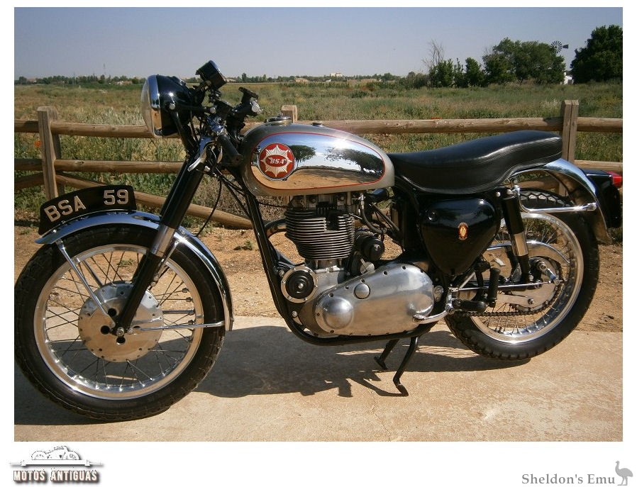 BSA-1959-Gold-Star-MANT-01.jpg