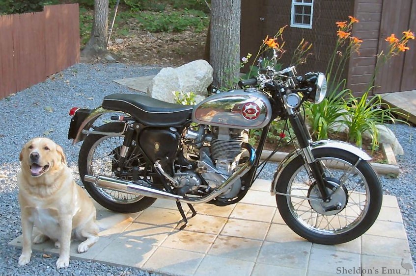 BSA-1956-B34GS