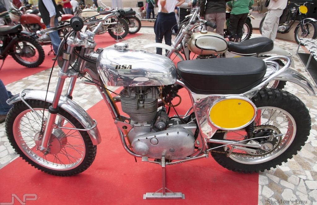 Cheney-BSA-MX-Imola-2-J-Norek.jpg