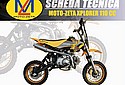 Moto-Zeta-2006-110cc-Cat.jpg