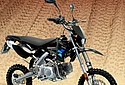 Polini-2017c-125cc-Pitbike-Adv.jpg