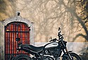 Ducati-2020-Scrambler-Dark-Icon-PVo-03.jpg