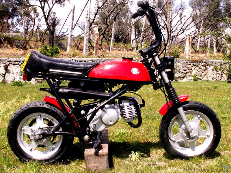 Puch-Mini-Motoesa-2.jpg