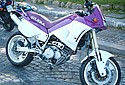 Gilera-1991c-Nordwest-350.jpg