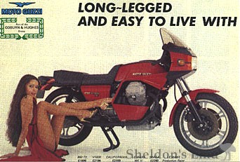 Guzzi-long-legged-3.jpg