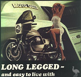 Guzzi-long-legged-4.jpg