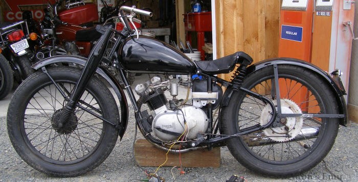 Mystery-Triumph-Custom-1.jpg