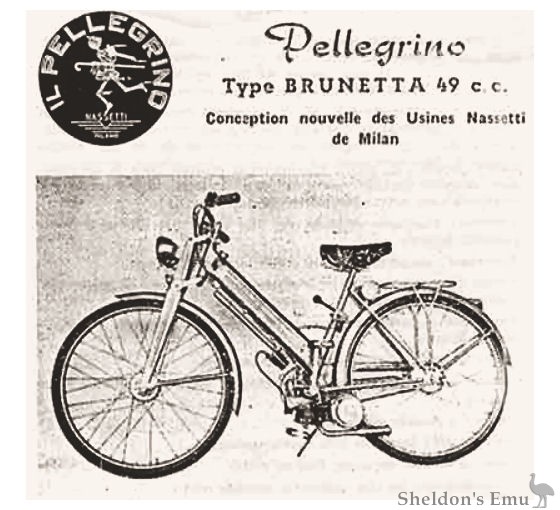 Nassetti-Pellegrino-0.jpg