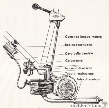 Nassetti-Pellegrino-1.jpg