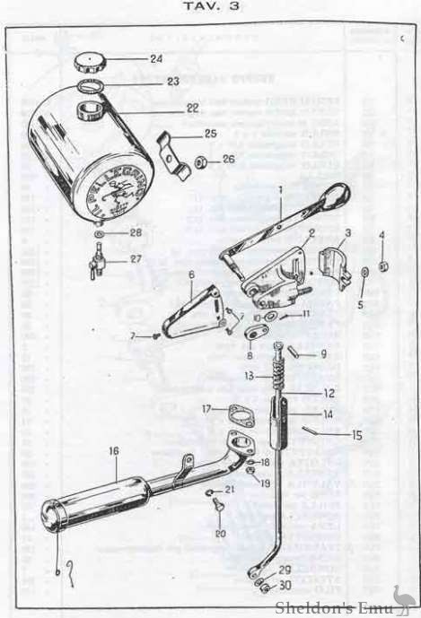 Nassetti-Pellegrino-5.jpg