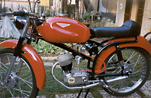 Nassetti-Sery-orange.jpg