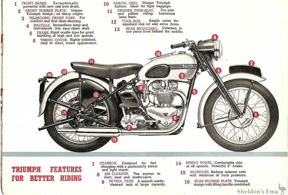 Triumph-1951-UK-03.jpg