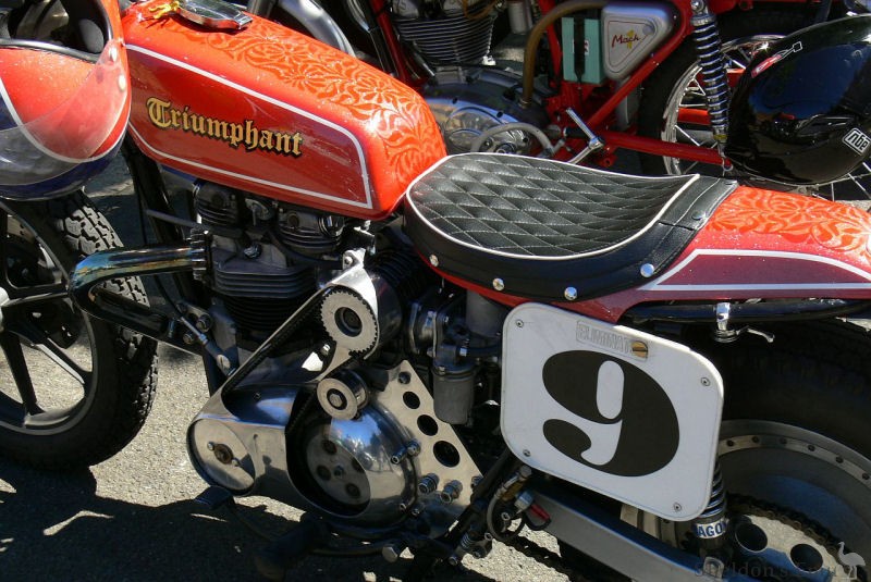 Triumph-Blown-Custom-1.jpg