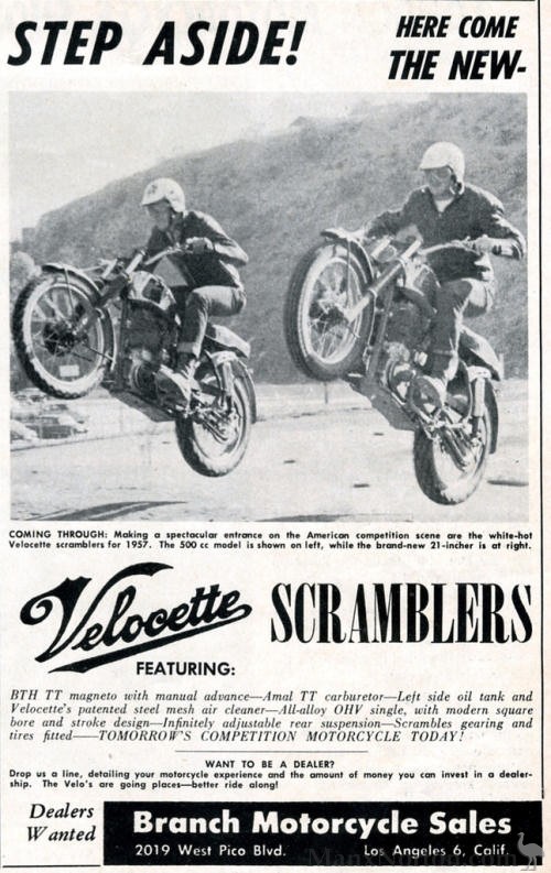 Velocette-Scramblers-advert.jpg