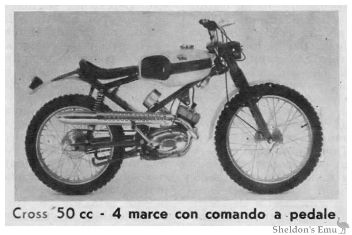 Vivi-Cross-50cc.jpg